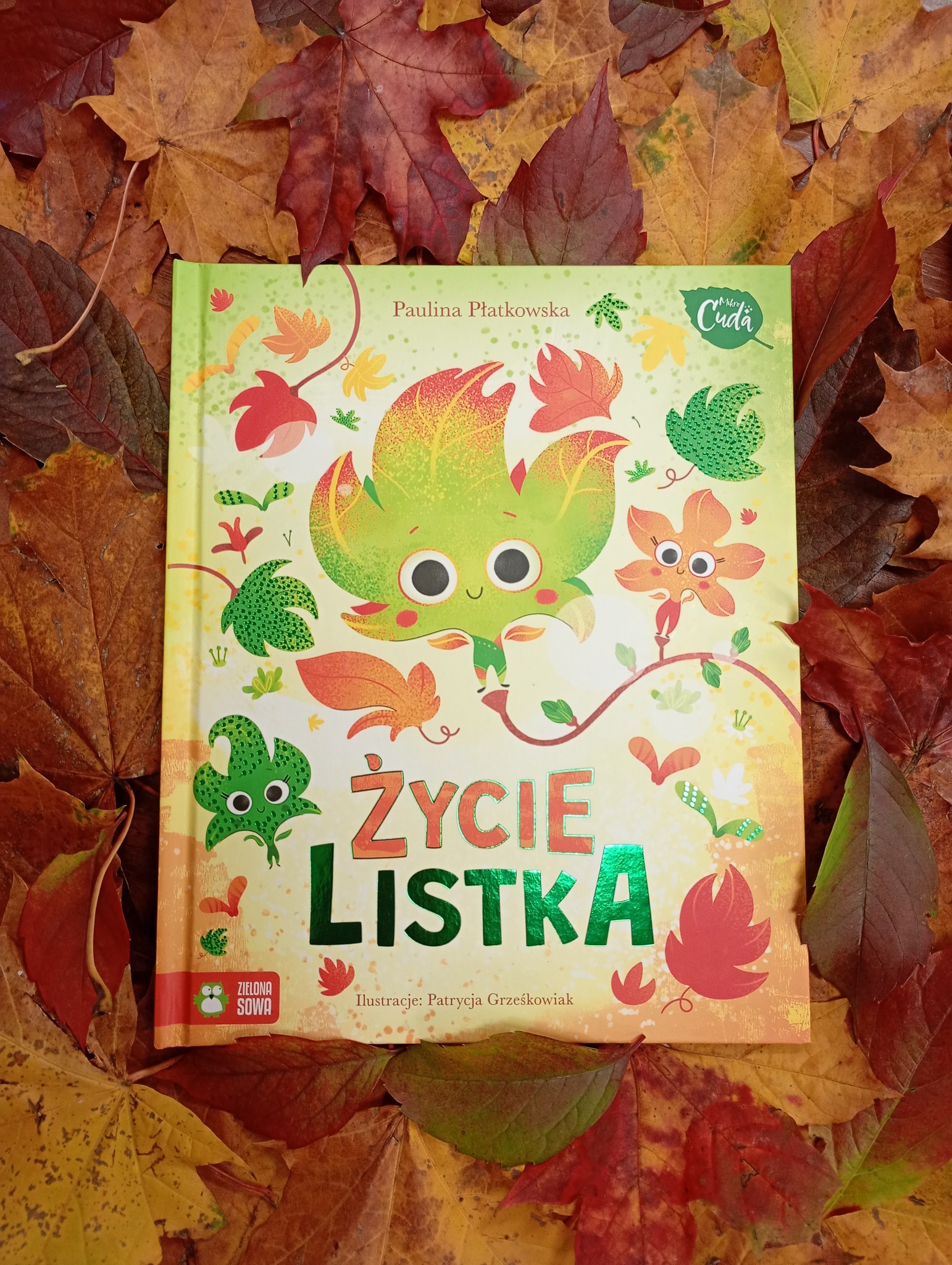 Jesień z książką z Biblioteki Miejskiej w Łebie – zdjęcie 1