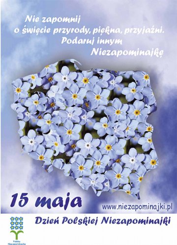 Święto Niezapominajki