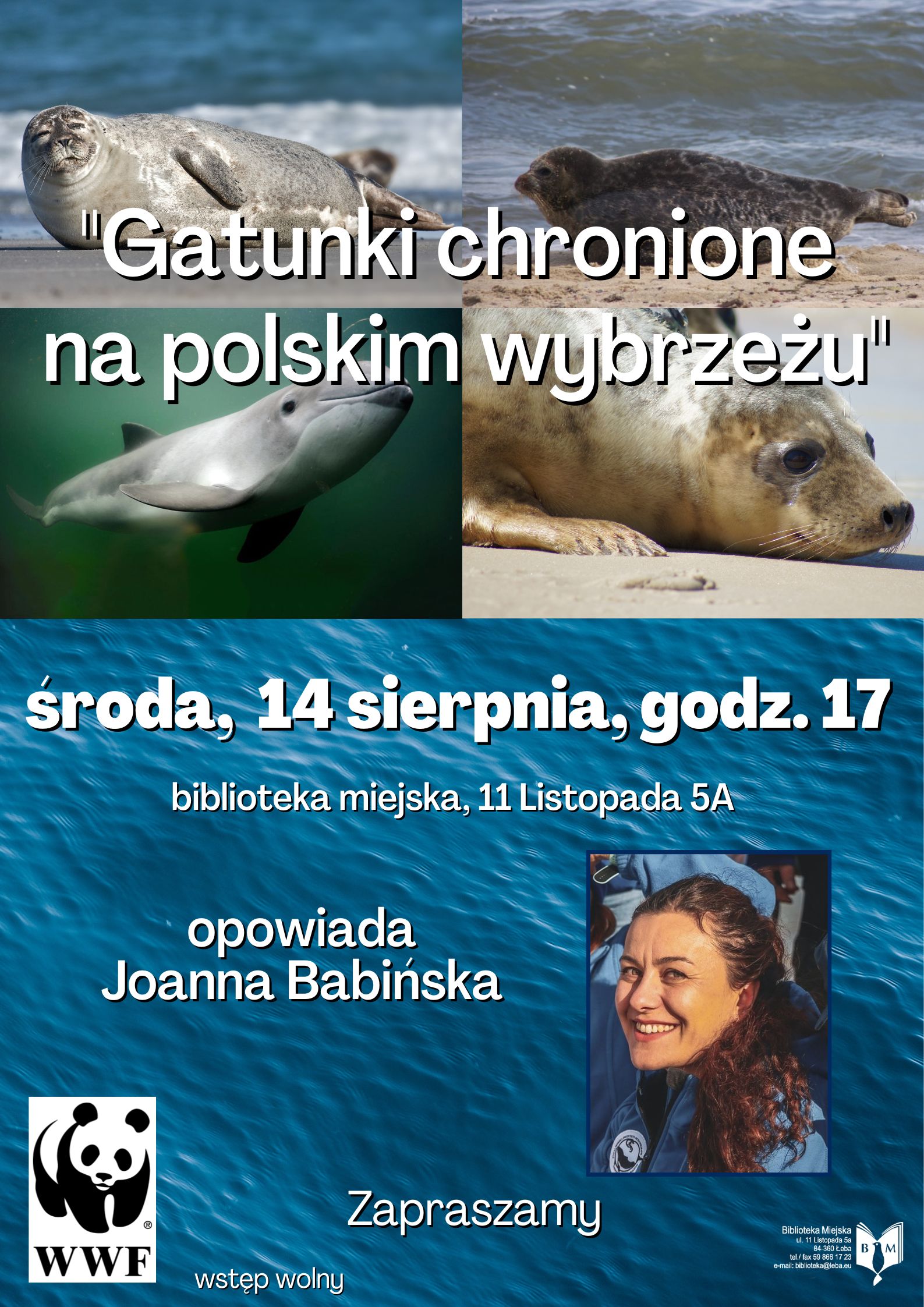 gatunki_chonione_sierpien