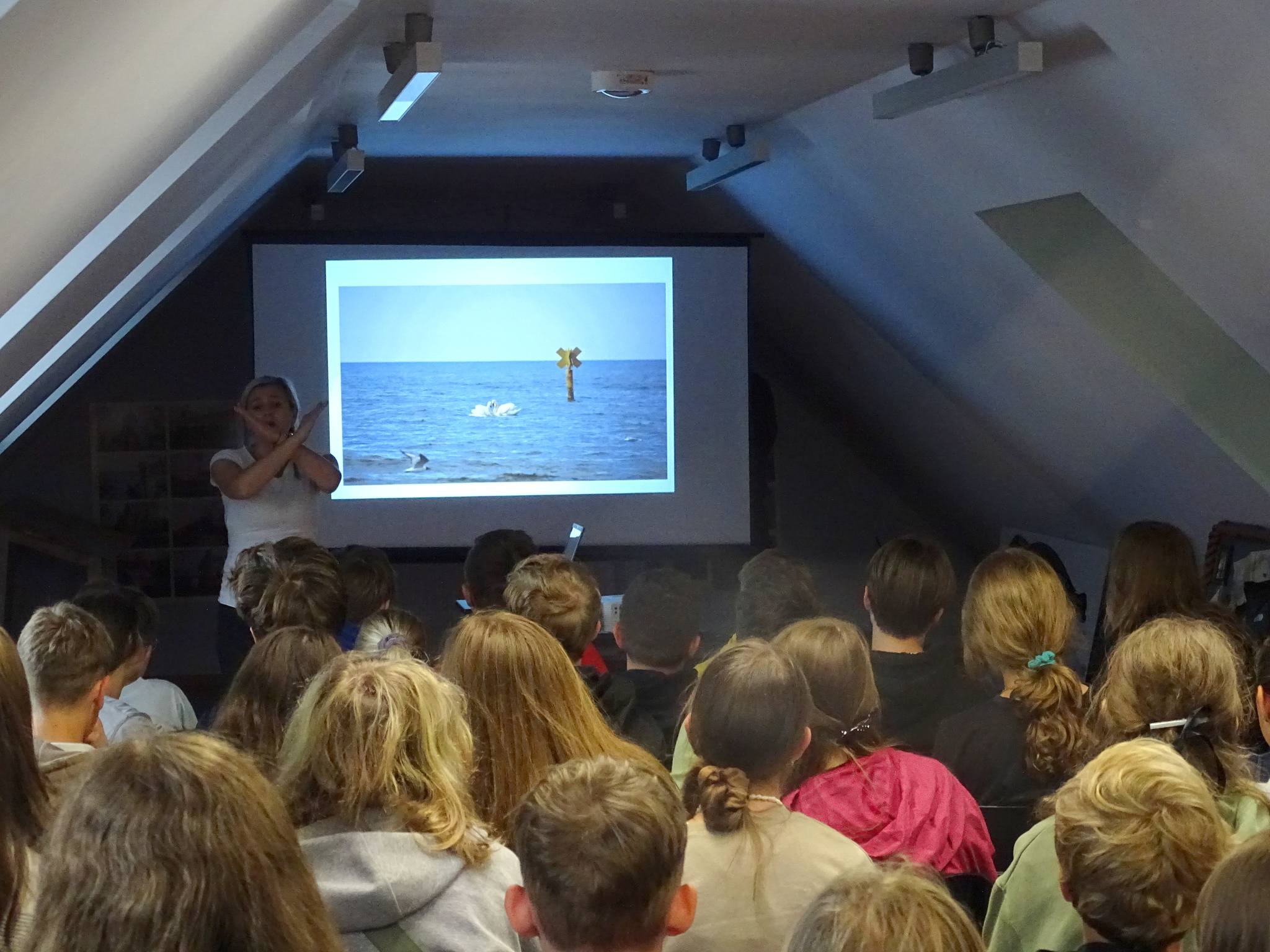 448564053_782483964036139_4879749129130325885_n