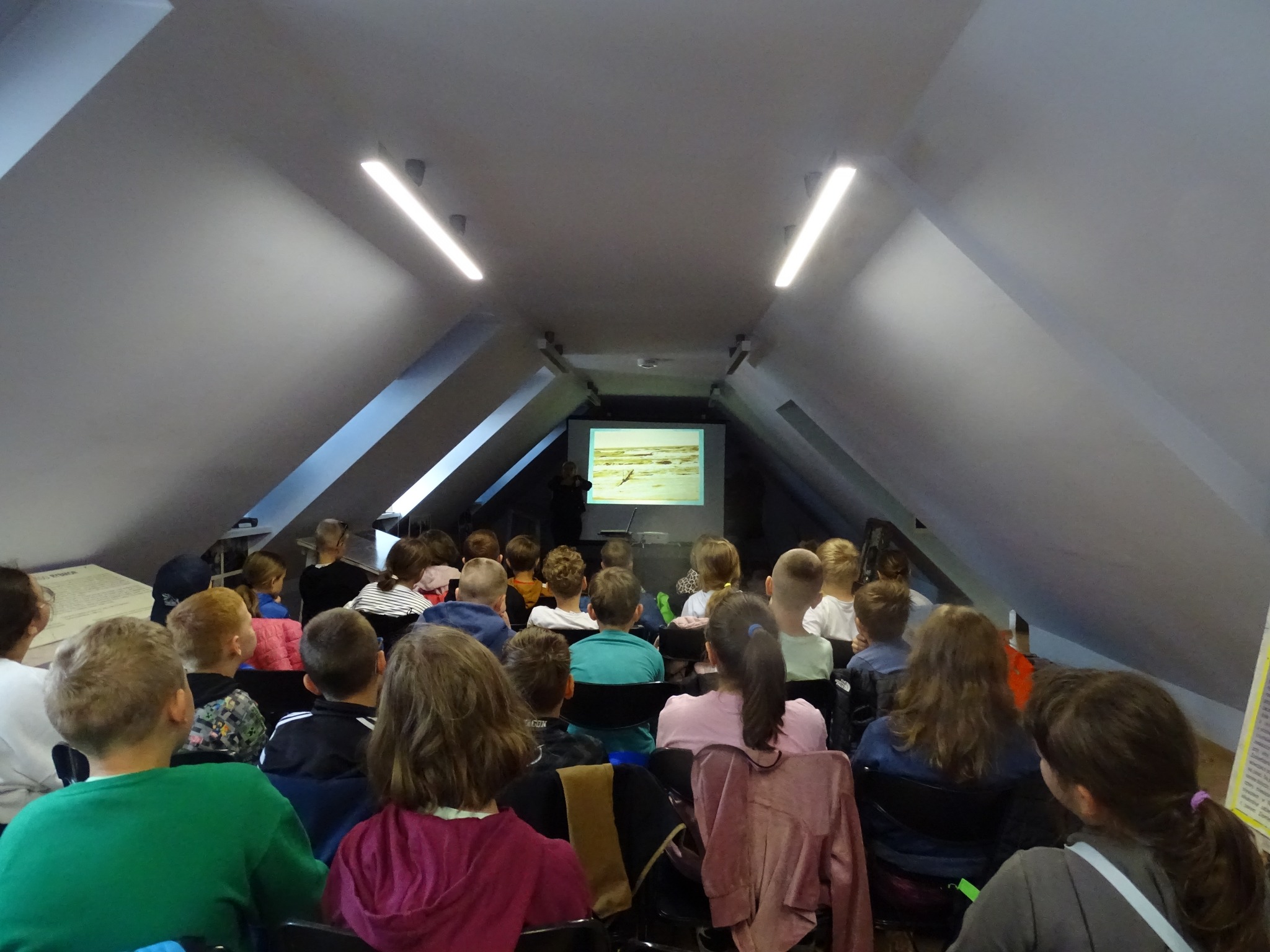 502859759_1016816793936187_8224257925417131075_n